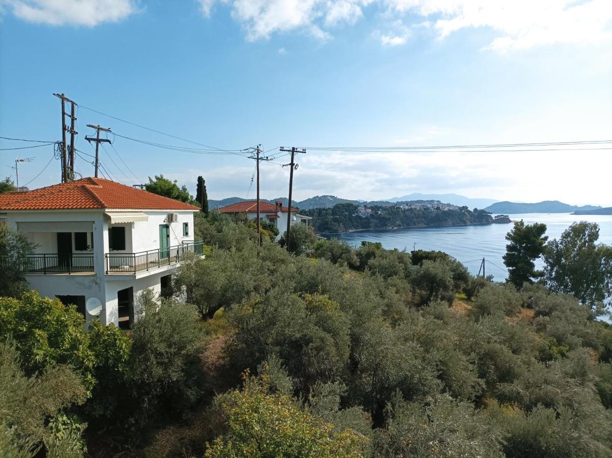 Ftelia House Villa Skiathos Town Bagian luar foto